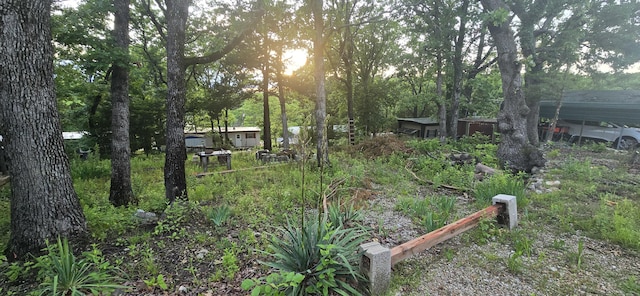 25965 Willow Rd, Hermitage, MO 65668 - view of yard