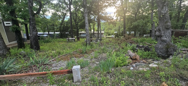 25965 Willow Rd, Hermitage, MO 65668 - view of yard