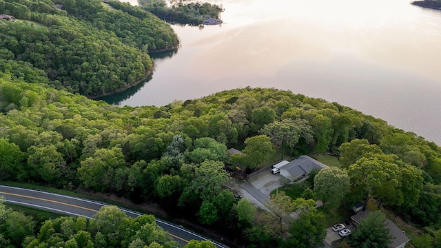9247 State Highway 13, Kimberling City, MO 65686 - drone / aerial view with a water view and a view of trees