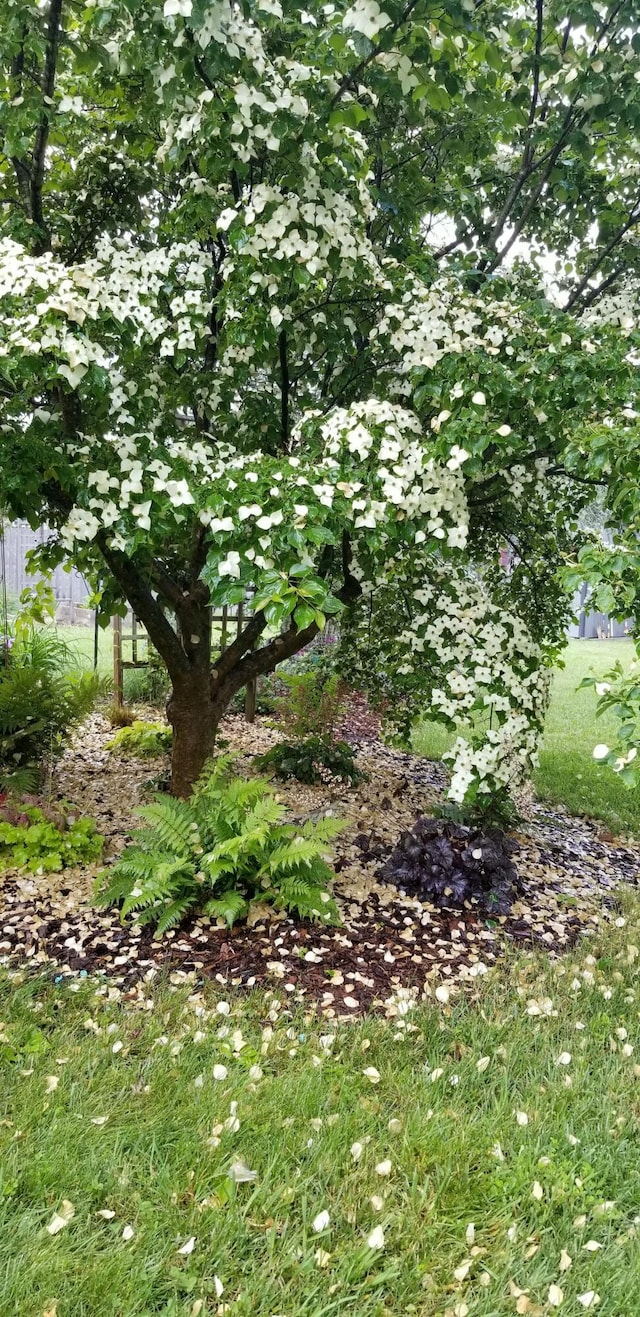 view of nature