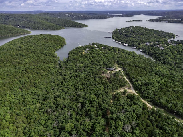 10.62AC Gobblers Mountain Rd, Branson West, MO 65737