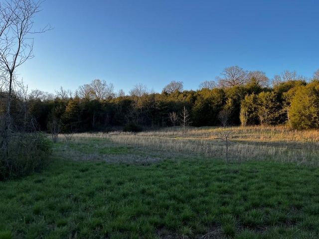 view of yard featuring a wooded view and a rural view