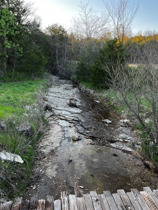 view of local wilderness