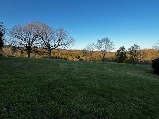view of yard with a rural view