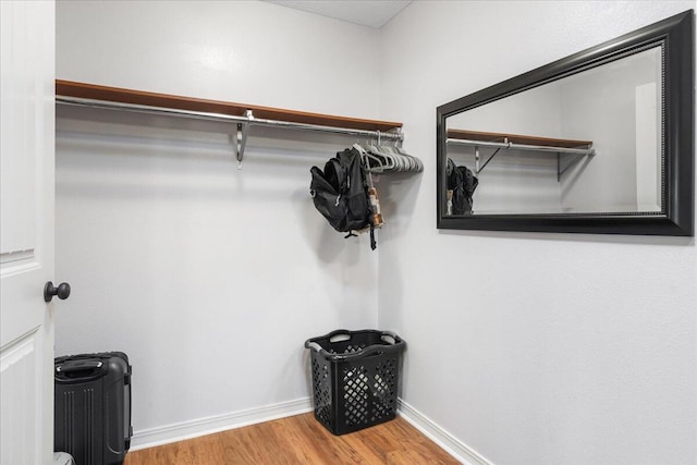 spacious closet featuring wood finished floors