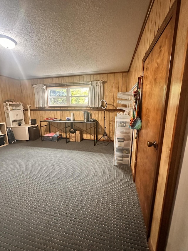 interior space featuring wood walls, a textured ceiling, and carpet