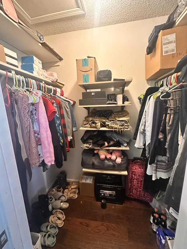walk in closet featuring wood finished floors
