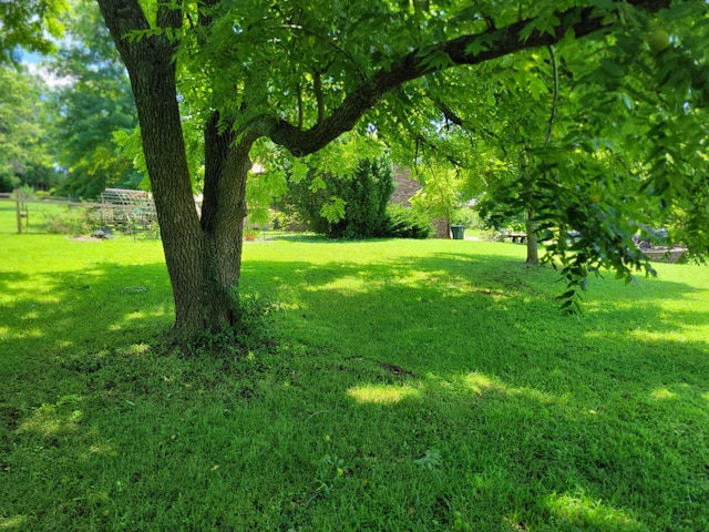 700 Owens Mill Rd, Stockton, MO 65785 - photo 72
