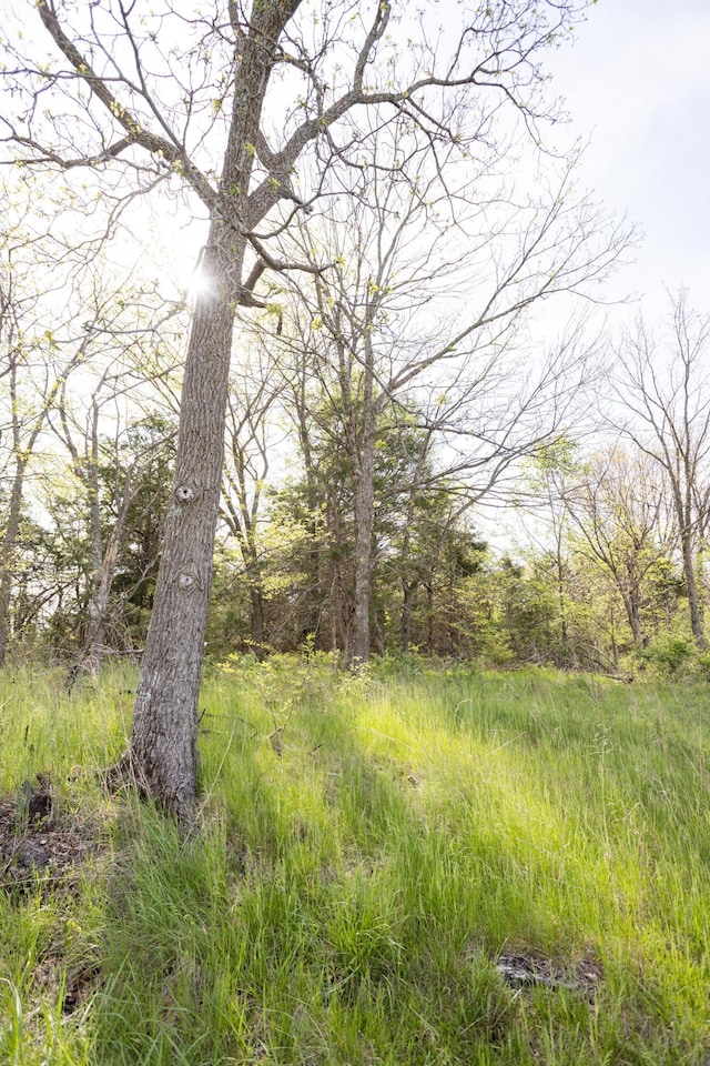 000 Beach Rd, Conway, MO 65632