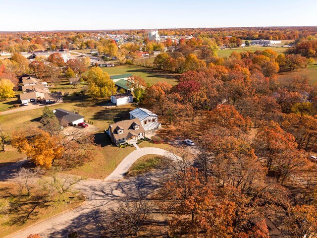 bird's eye view