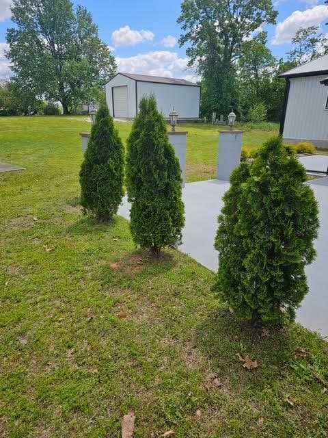 410 White Oak Dr, El Dorado Springs, MO 64744 - view of green lawn featuring an outdoor structure