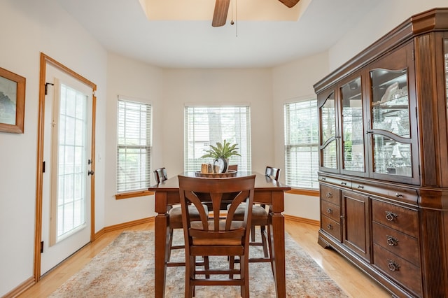 dining area with baseboards, ceiling fan, and light wood finished floors