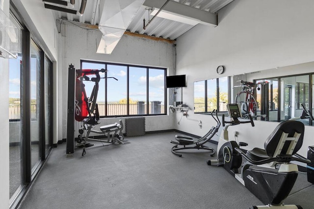 exercise room featuring a high ceiling