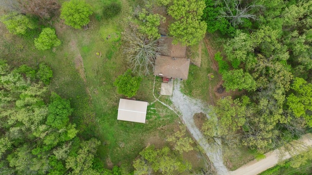 bird's eye view