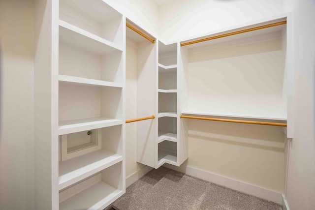 spacious closet with carpet