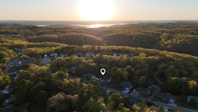 drone / aerial view featuring a forest view