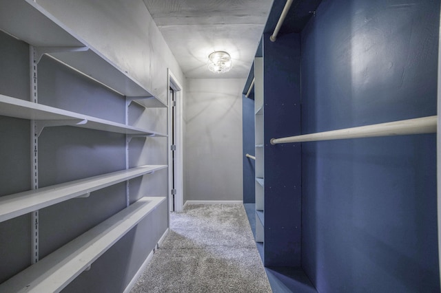 walk in closet featuring carpet