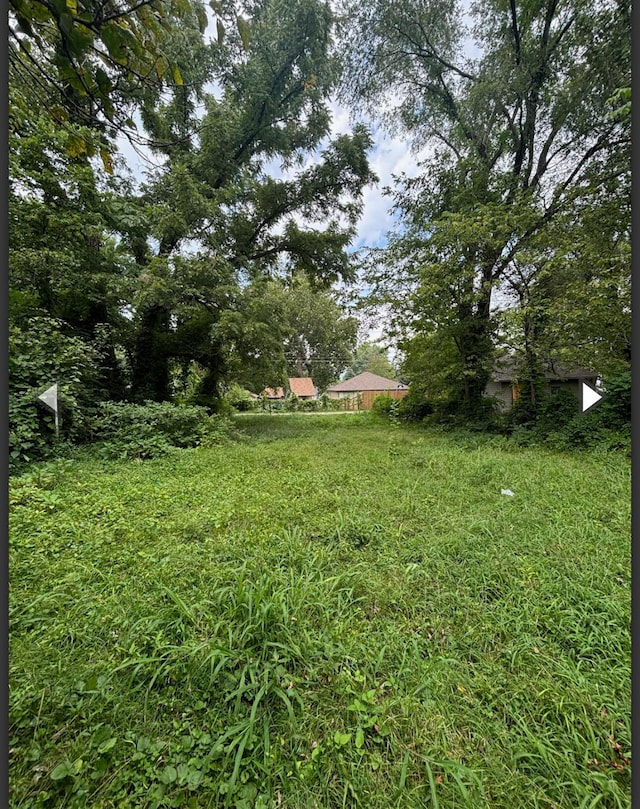 1207 W Florida St, Springfield, MO 65803 - view of yard