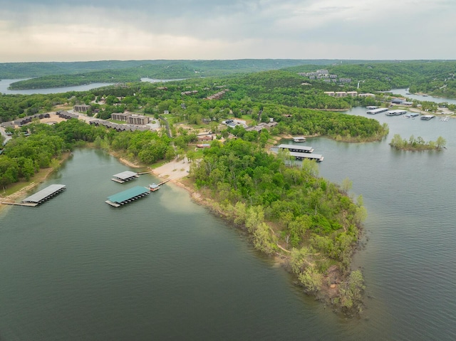 drone / aerial view featuring a water view and a wooded view