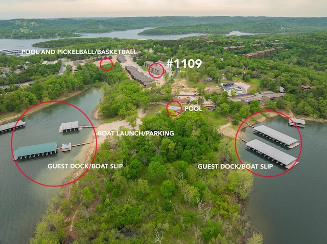 drone / aerial view featuring a water view and a forest view