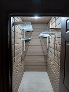 172 Dogwood Park Trl Unit 1109, Branson, MO 65616 - view of walk in closet