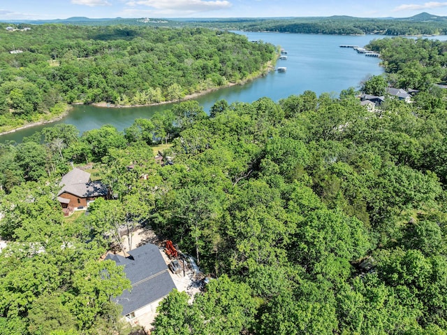 111 Ironwood St, Shell Knob, MO 65747 - drone / aerial view of a forest and a large body of water