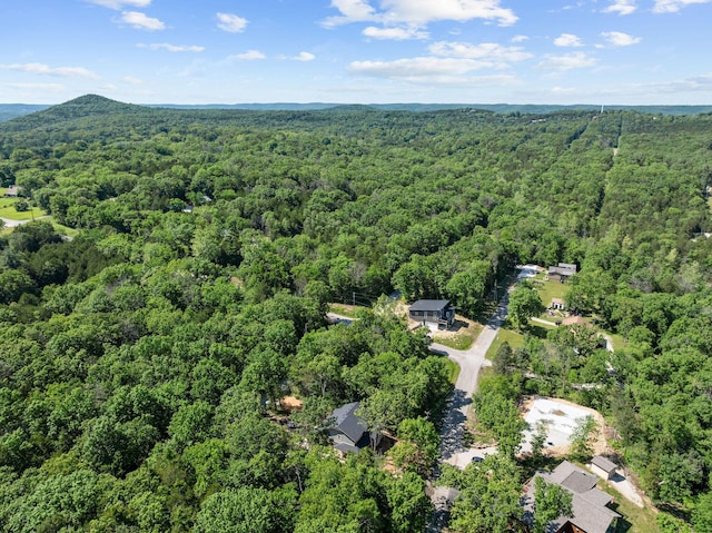 111 Ironwood St, Shell Knob, MO 65747 - bird's eye view of a forest