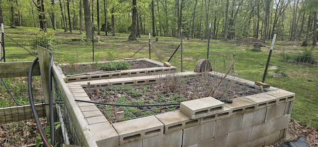 view of yard featuring a garden