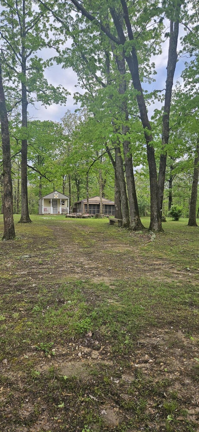 view of yard