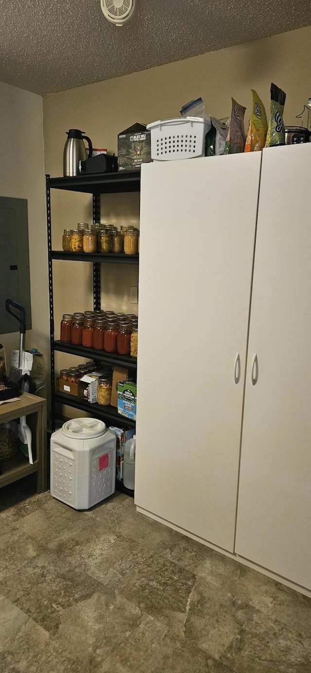 storage room with electric panel