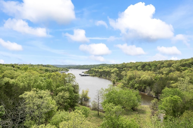 property view of water with a wooded view