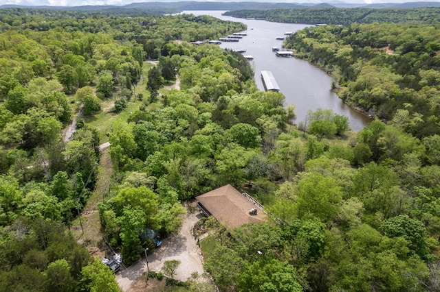 birds eye view of property with a water view and a forest view
