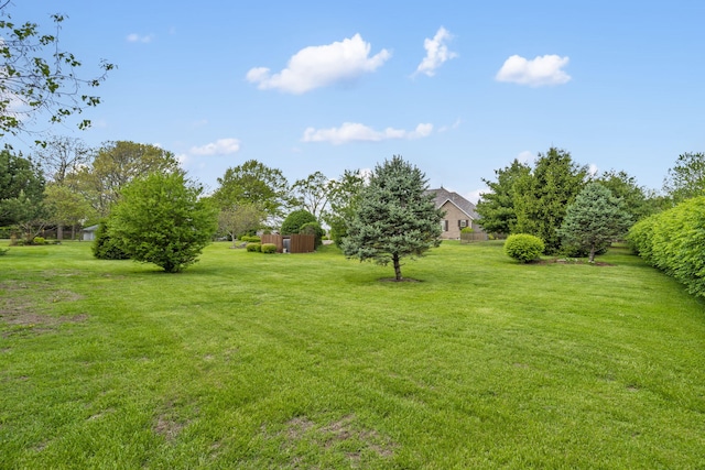 view of yard