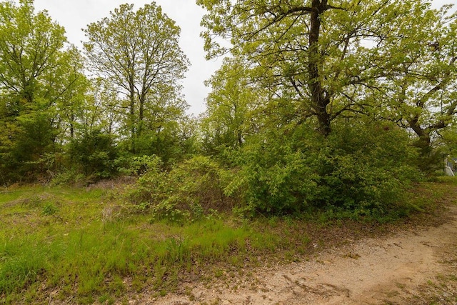 TBD Perch St, Kissee Mills, MO 65680