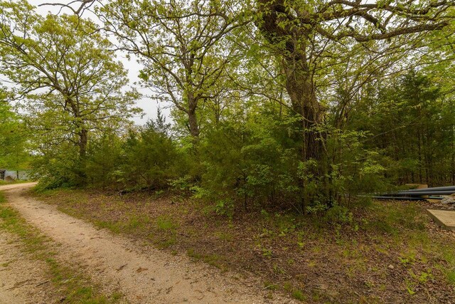 TBD Perch St, Kissee Mills, MO 65680
