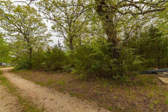 TBD Perch St, Kissee Mills, MO 65680