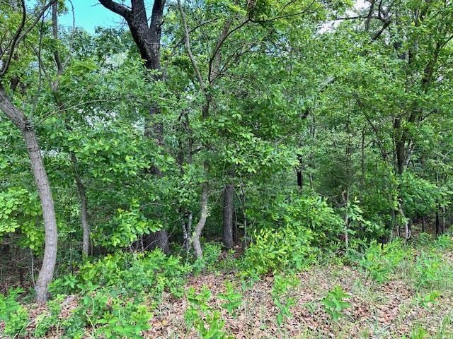 1303 View Park Cir, Horseshoe Bend, AR 72512