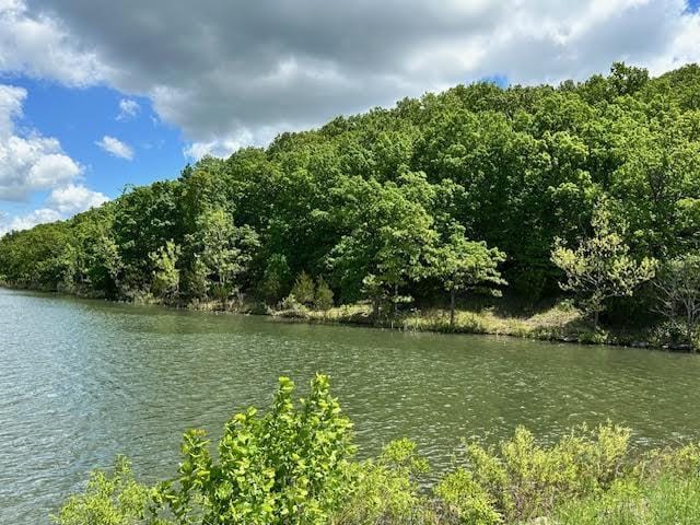 1303 View Park Cir, Horseshoe Bend, AR 72512