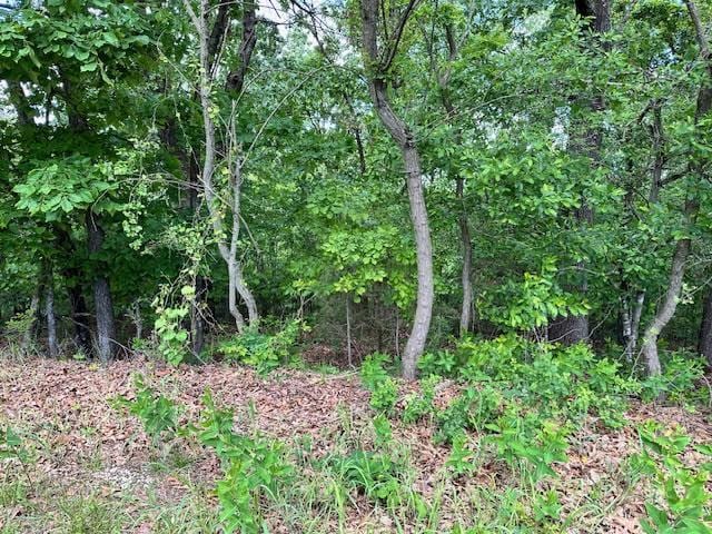 1303 View Park Cir, Horseshoe Bend, AR 72512