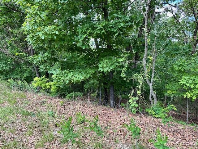 1303 View Park Cir, Horseshoe Bend, AR 72512