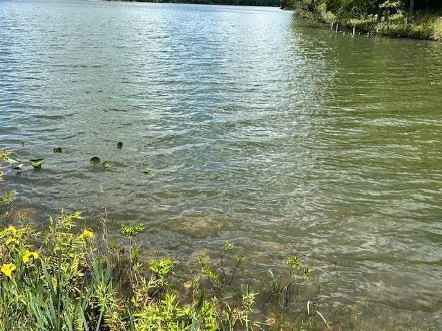 1303 View Park Cir, Horseshoe Bend, AR 72512