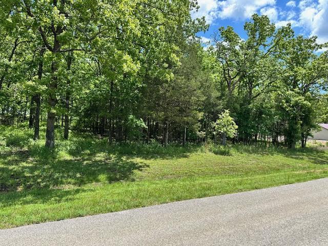 323 W Green Valley Dr, Horseshoe Bend, AR 72512