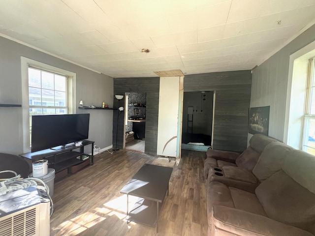 living room with wooden walls and wood finished floors