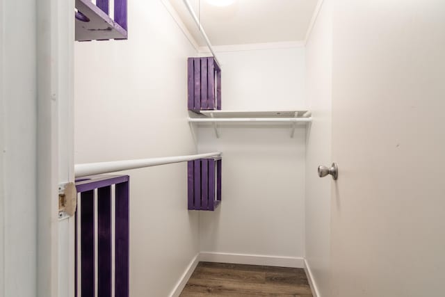spacious closet with wood finished floors