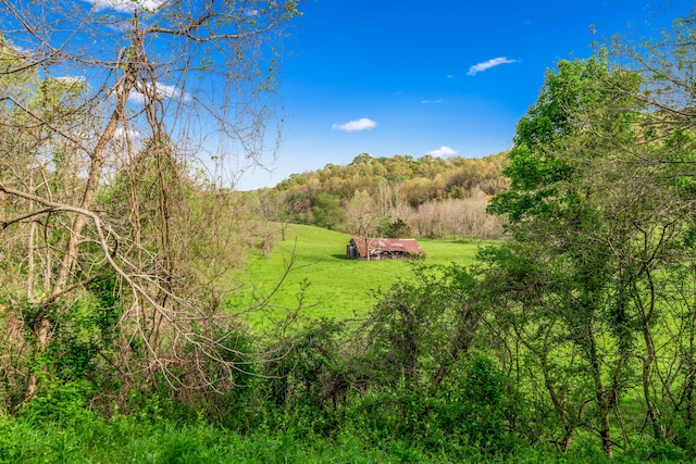 view of nature featuring a rural view and a wooded view