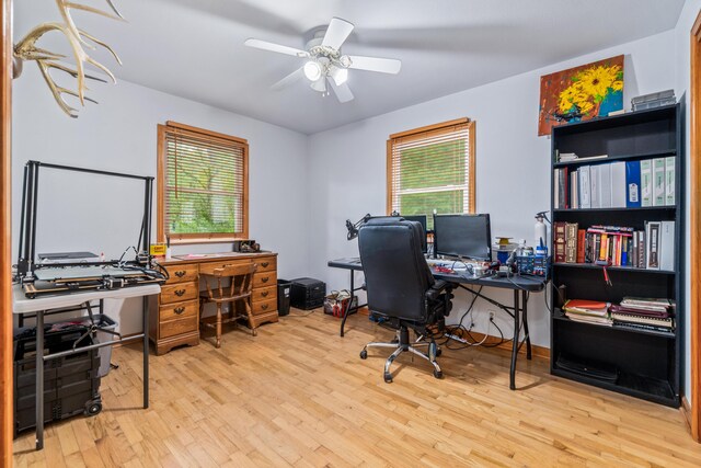 office featuring a ceiling fan and wood finished floors