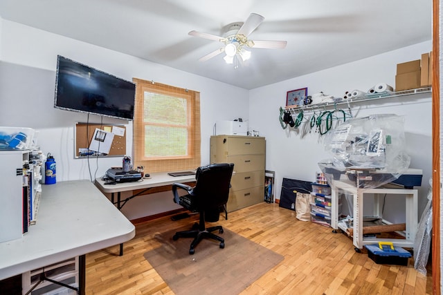 office area with ceiling fan and light wood-style flooring