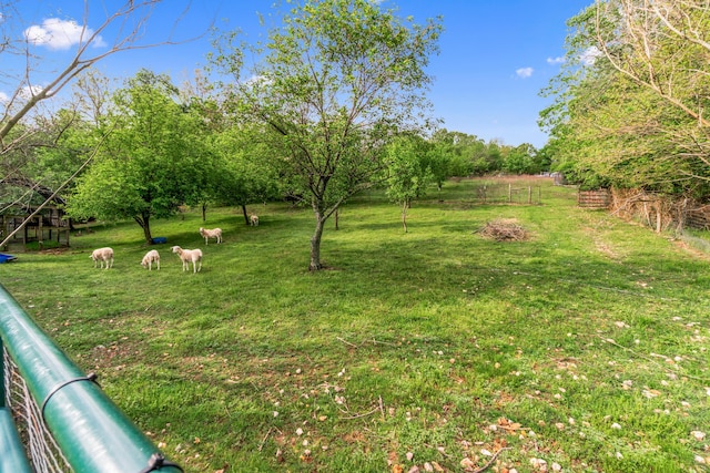 view of yard with a rural view and fence