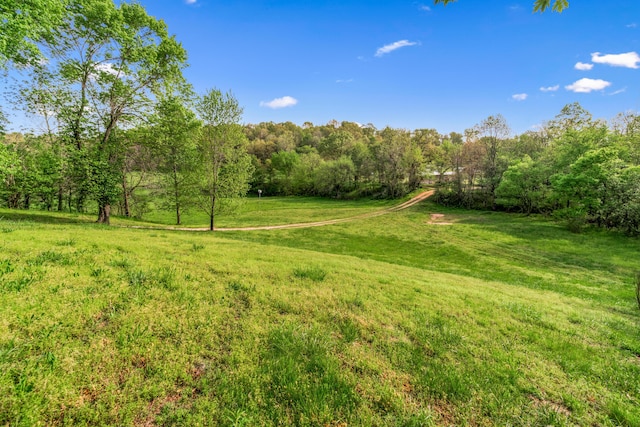 view of yard featuring a rural view and a wooded view