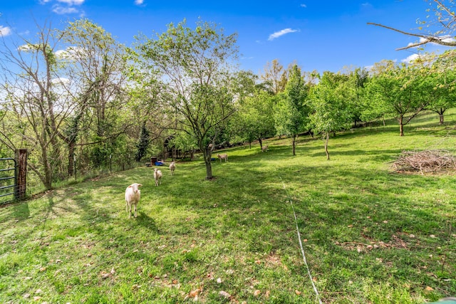 view of yard featuring a rural view